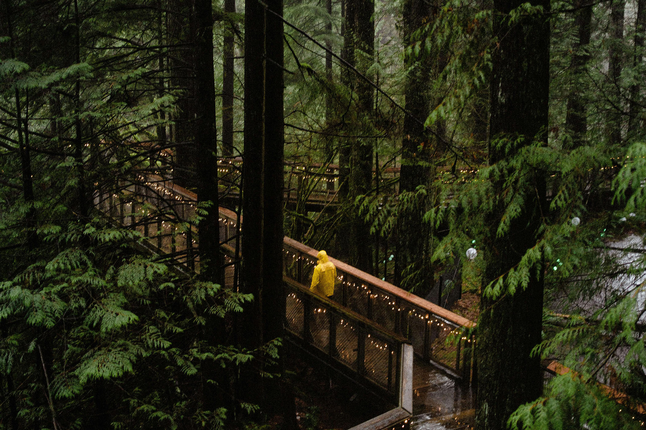 Metro Vancouver Real Estate Market Update – January 2025